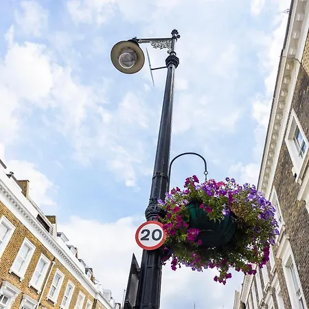 Hotel Pimlico Hub
